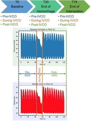 Investigating the variability in pressure–volume relationships during hemorrhage and aortic occlusion